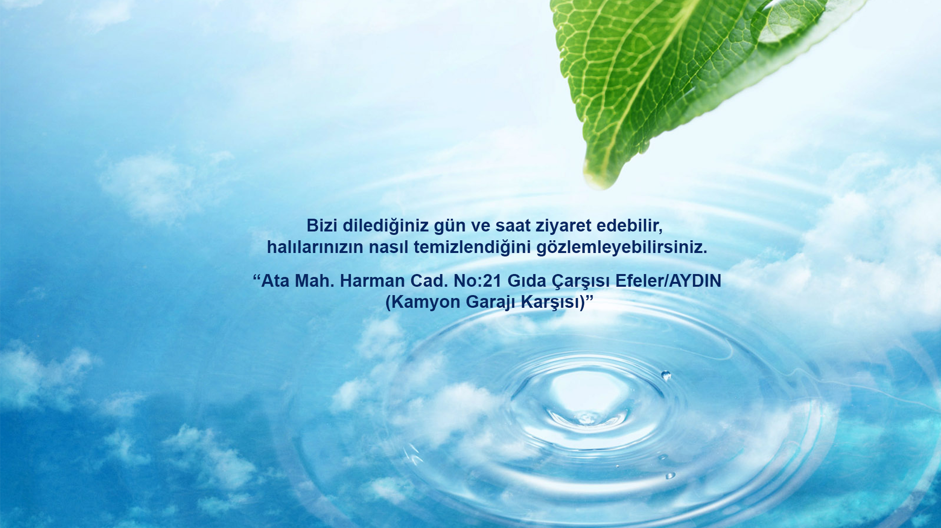 anasayfa aydin hali yikamaci mutlu hali yikama